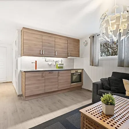Flat In Near Airport Apartment Sola